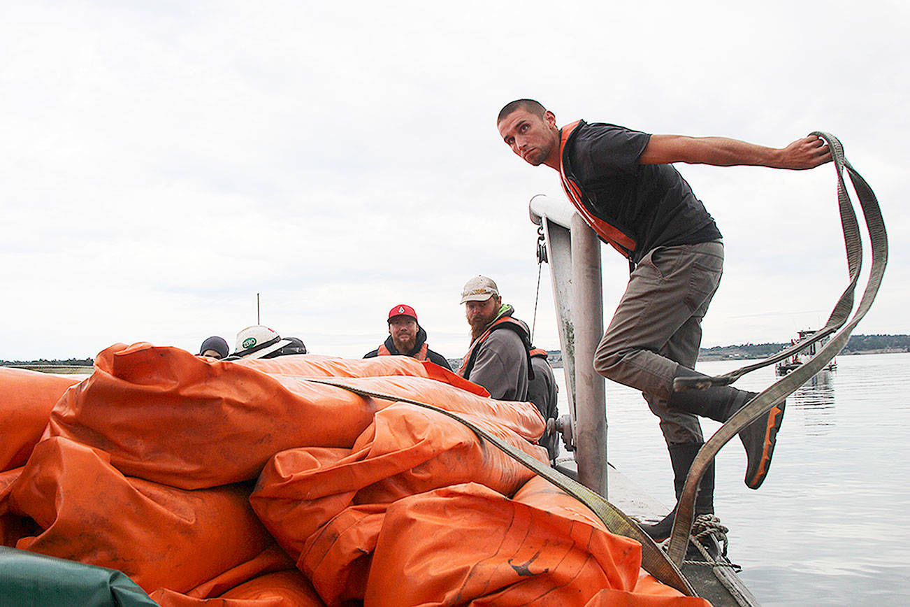 In case of oil spill, mussel farm and agencies are prepared