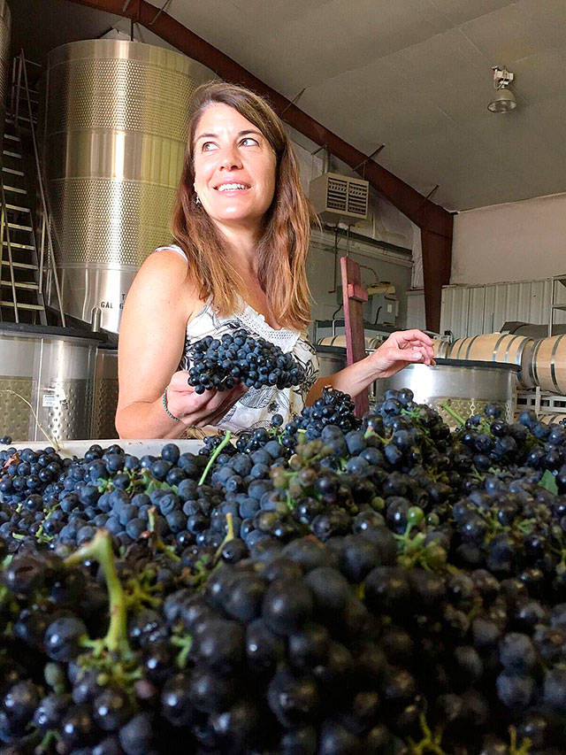 Andy Perdue/Great Northwest Wine                                Meredith Smith, winemaker for Ste. Chapelle and Sawtooth wineries in Idaho’s Snake River Valley, inspects grapes as they arrive during harvest.