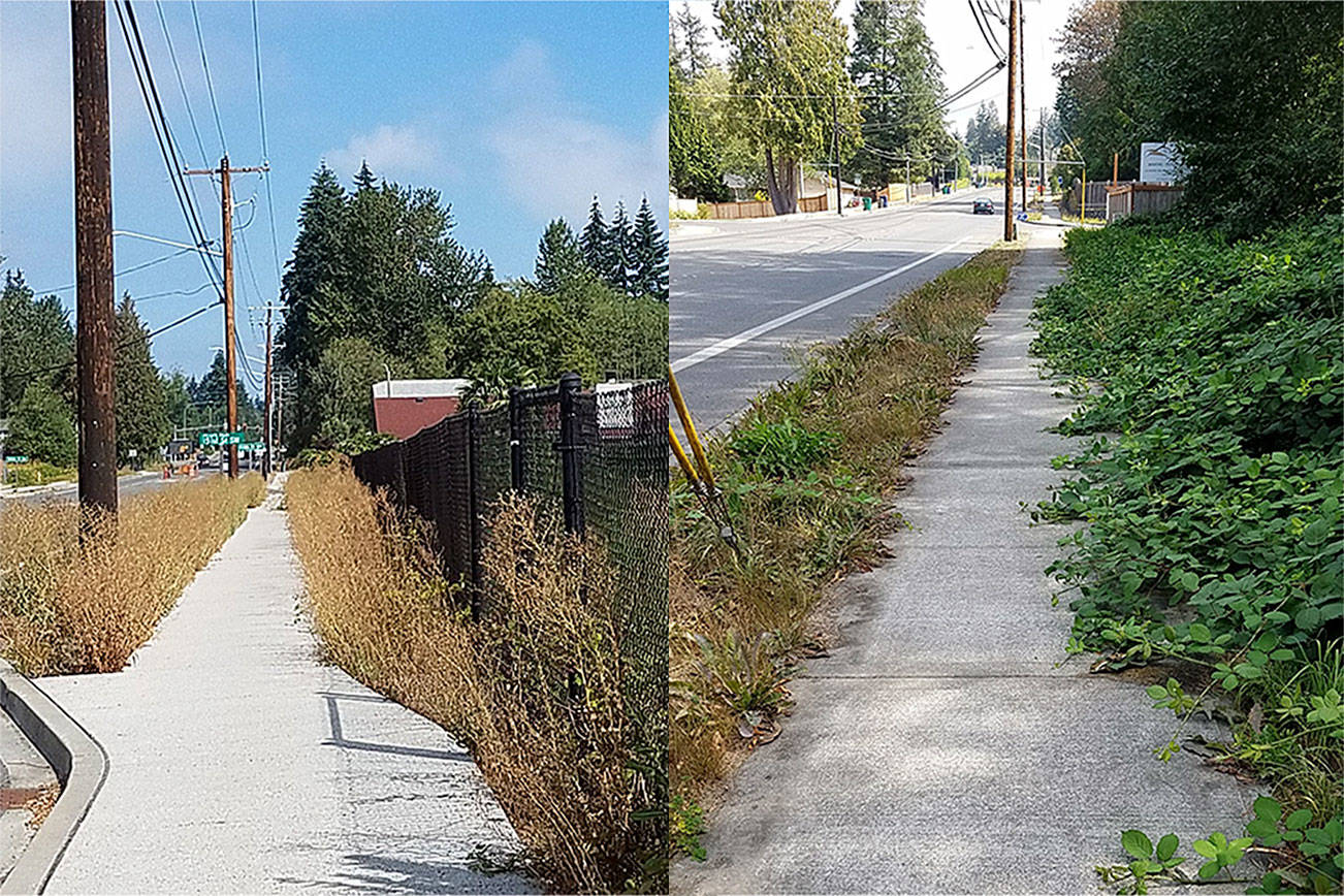 What good are planting strips when all they grow are weeds?