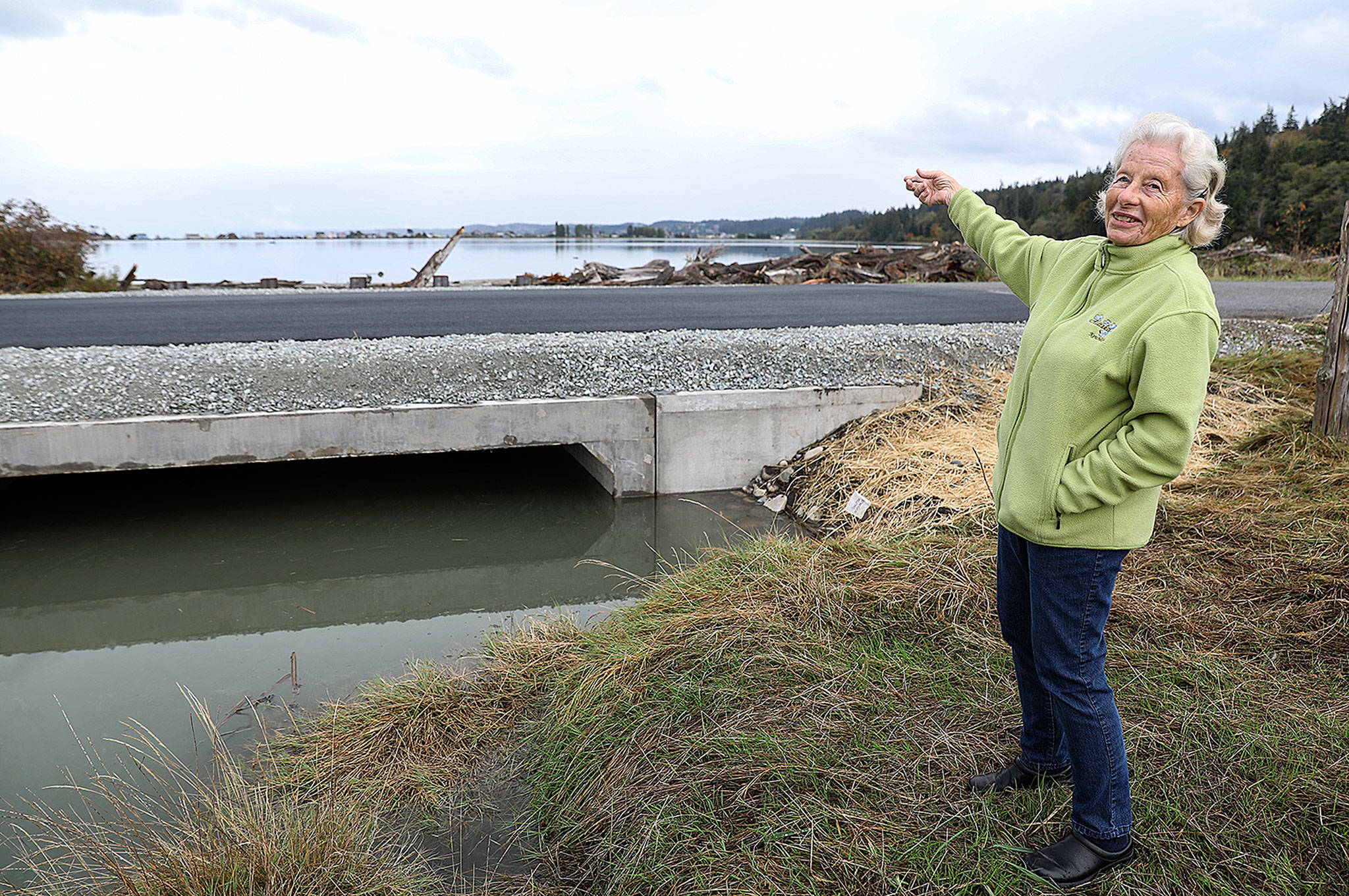 After more than a decade of planning, Barbara Brock finally saw new culverts installed near Triangle Cove on Camano Island. (Lizz Giordano / The Herald)