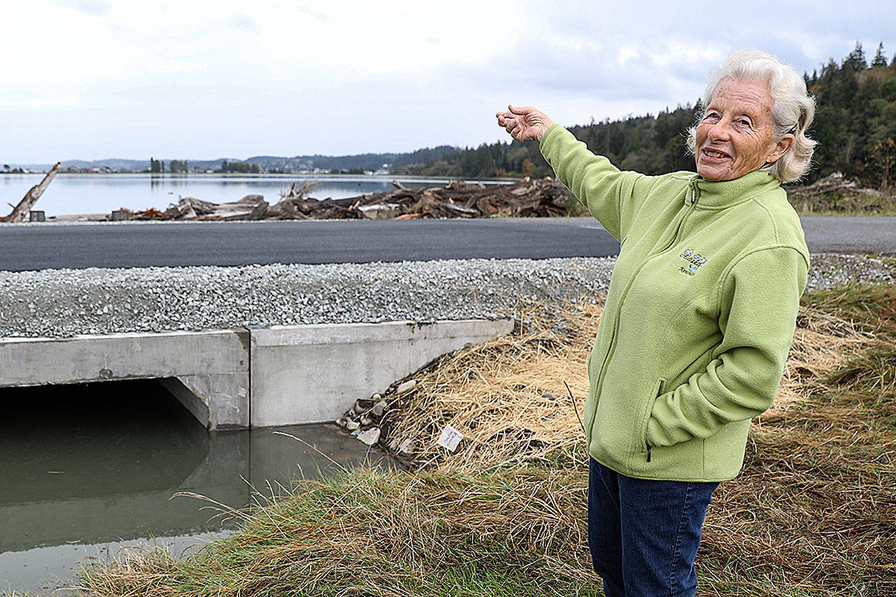 New Camano Island culverts open 1.6 miles of fish habitat