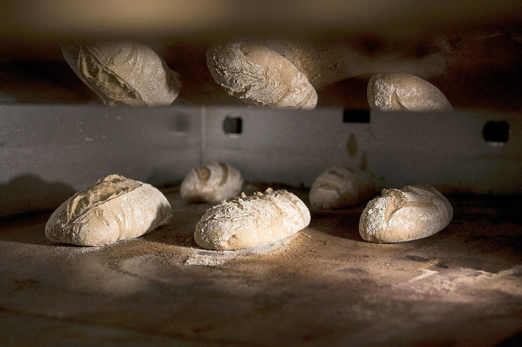 Five loaves of bread, made with varying amounts of ingredients, bake in an oven at The Bread Lab. (Andy Bronson / The Herald)
