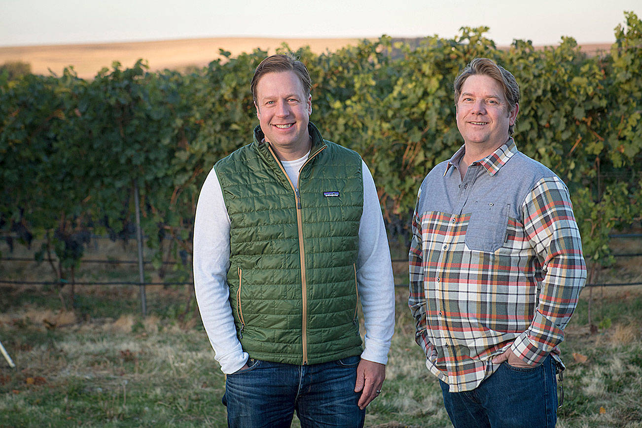 Northwest Wine: Cabernet franc good fit in Washington vineyards