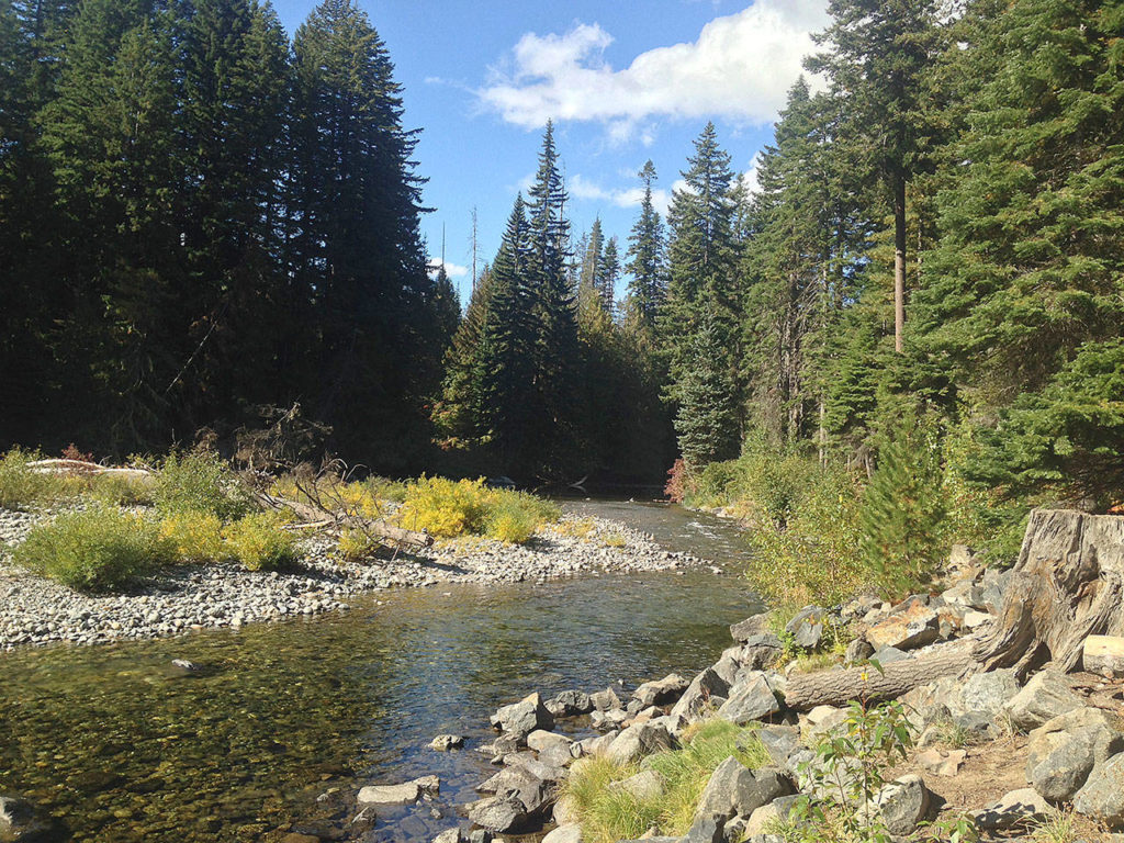 There are numerous recreation spots near Leavenworth, including camping and hiking along Icicle Creek, just outside of town. Also, the wheelchair-accessible 1-mile Icicle Creek Nature Trail is a great spot to view wildlife or take a leisurely stroll. (Photo by Sue McMillin/Special to the Herald)

