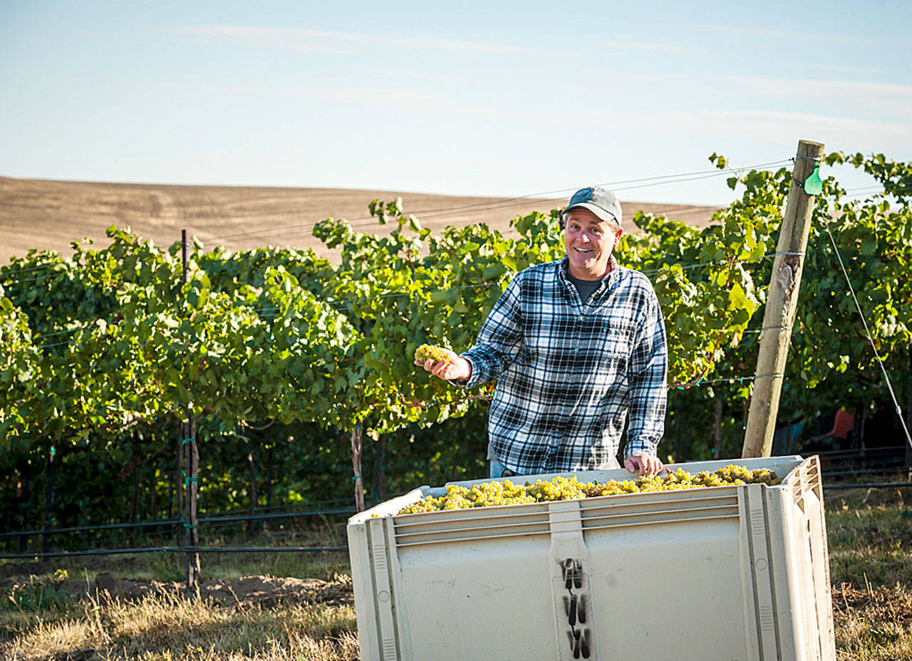 John Freeman has entered his second decade as winemaker at Waterbrook Winery in the Walla Walla Valley. (Photo by Richard Duval Images)