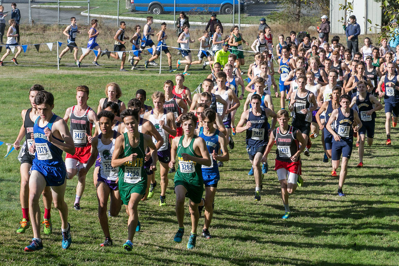 Local standouts headed to state after district cross country