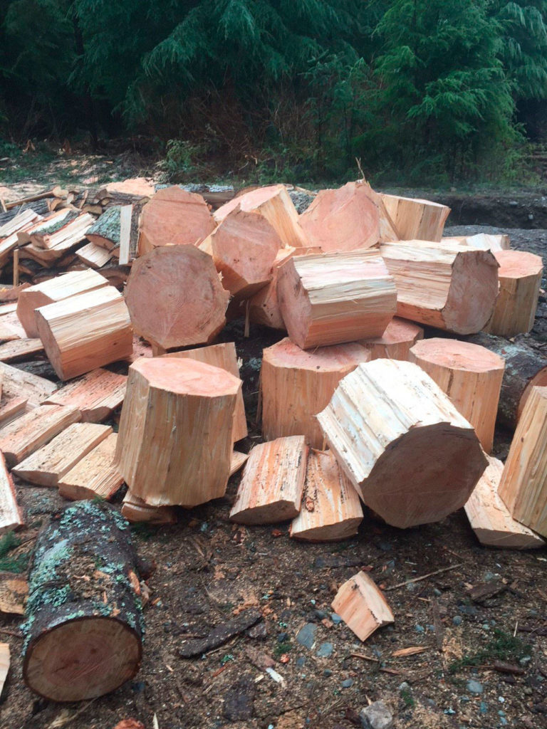 A man reportedly told a Washington State Department of Natural Resources officer that he thought his Discover Pass let him chop down firewood. It doesn’t. (Washington State Department of Natural Resources)
