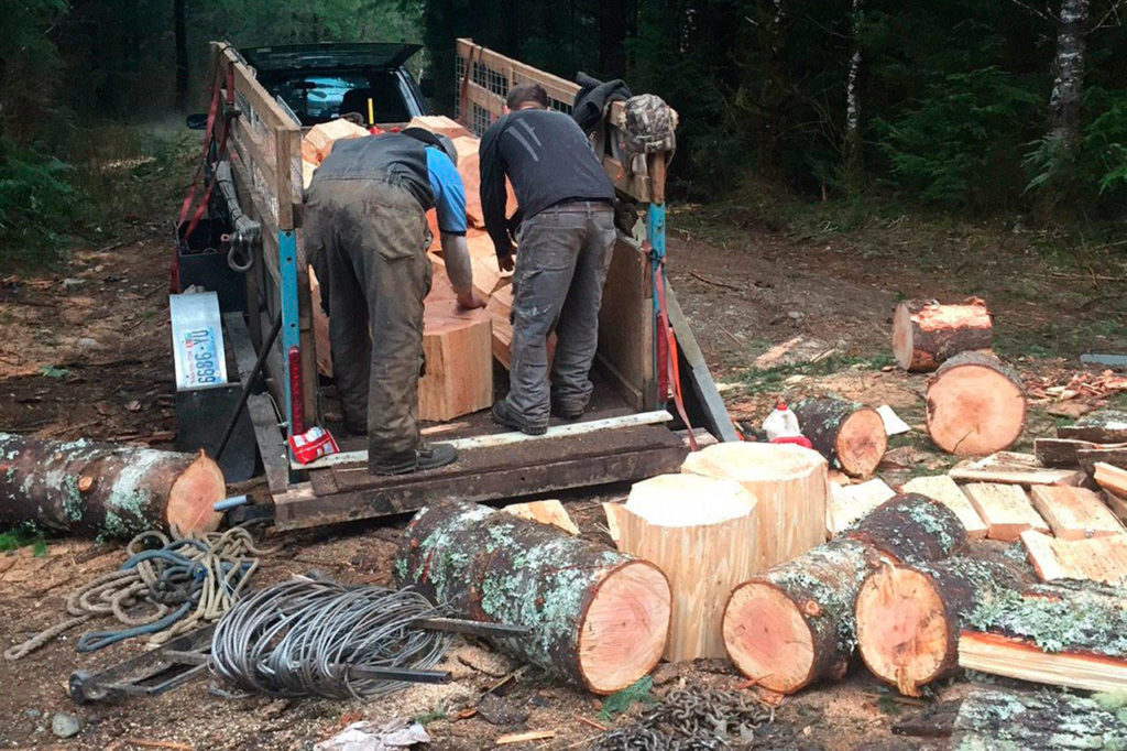 People load timber rounds that were illegally felled off the Mountain Loop Highway on state land east of Granite Falls. The firewood was delivered to area food banks. (Washington State Department of Natural Resources)
