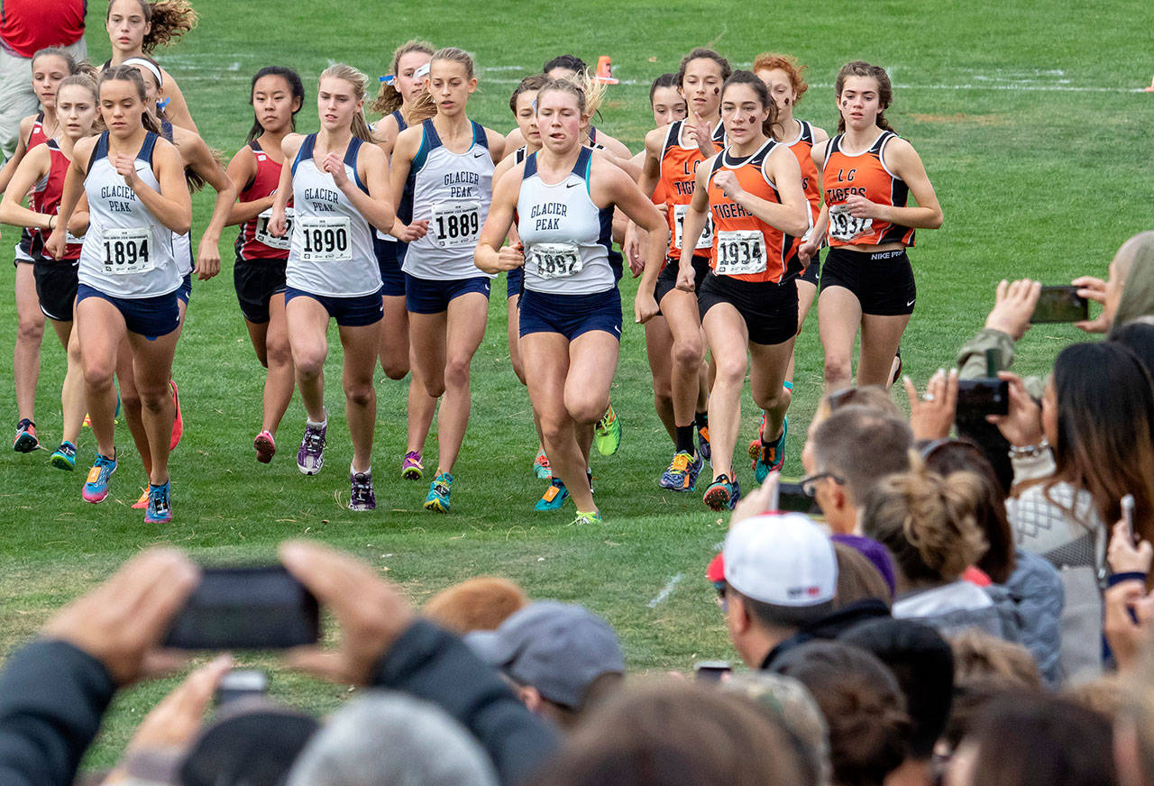 Glacier Peak’s Brooke Wallace (1894), Samantha Boyle (1890), Lindsay Ardry (1889), Alexis Palmer (1892) and Aviry Stratton (in background) compete in the 4A girls state cross country championship meet on Nov. 3, 2018, at Sun Willows Golf Course in Pasco. Glacier Peak won the 4A state team title. (TJ Mullinax / For The Herald)