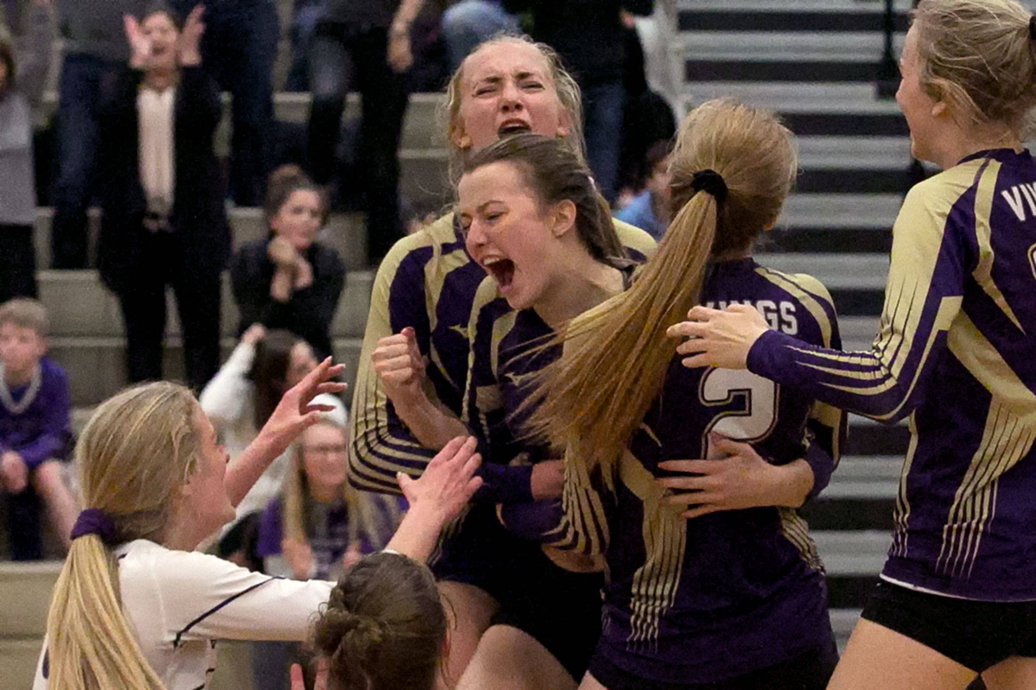 Lake Stevens players celebrate their 21-19 win in the fifth set against Issaquah during the Wes-King 4A District Tournament on Nov. 6, 2018, at Bothell High School. (Kevin Clark / The Herald)