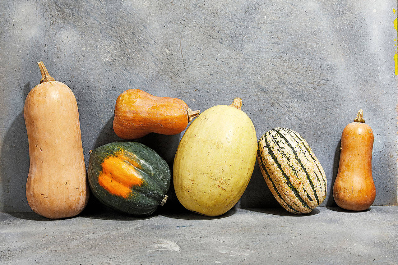Winter squash come in many shapes and sizes. They’re often interchangeable, but some varieties work better in certain dishes than others. (Photo by Tom McCorkle for The Washington Post)