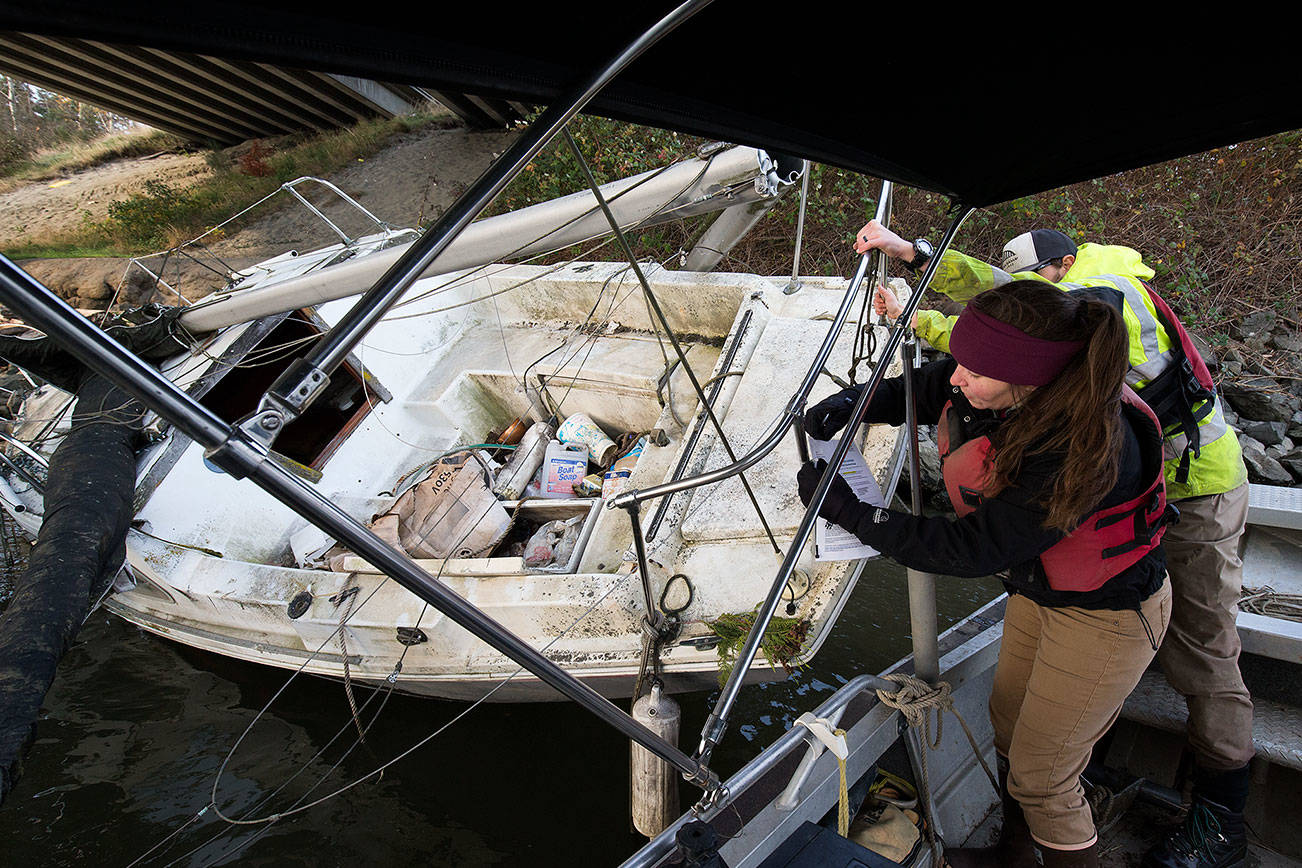 Kathleen Pozarycki, a senior planner with Snohomish County, and Luke Hanna, a biologist with the county’s surface water management division, post a 30-day notice on a sailboat washed up under an I-5 bridge on Tuesday, Nov. 13, 2018 in Everett, Wa. During storms a few weeks ago, the sailboat floated an estimated three miles downstream from where it was first spotted. (Andy Bronson / The Herald)