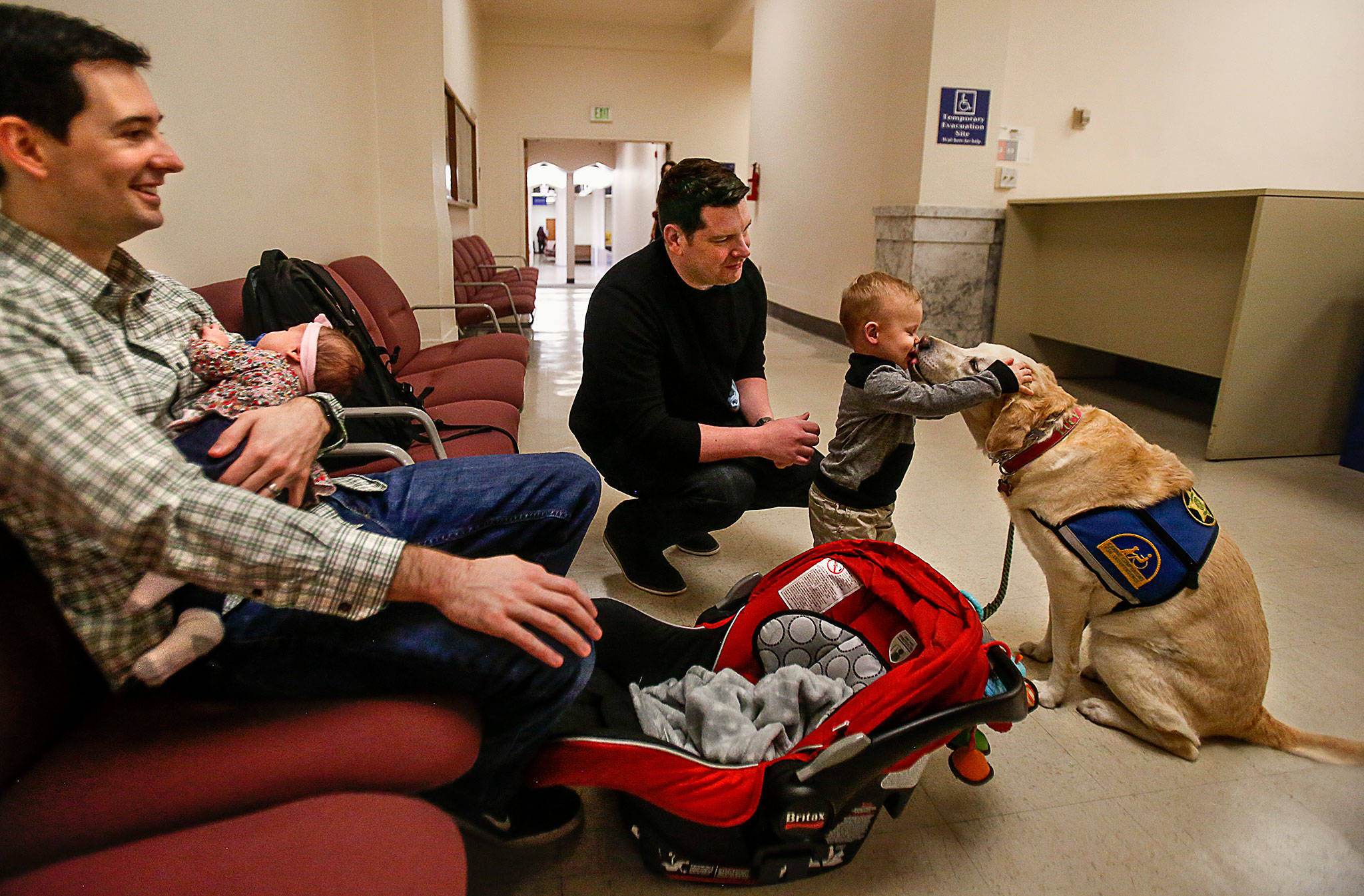 Married five years, Jeff Hebrank (left) and Chris Sullivan adopted 2-month-old Paige during National Adoption Day Friday. Their son Reed, a year and a half, has an affectionate moment with courthouse dog Lucy while awaiting the proceedings. “This is a special family,” Judge David Kurtz told those gathered in his courtroom. (Dan Bates / The Herald)