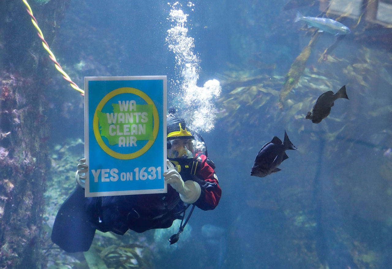 Diver Kim Thomas holds a “Yes on 1631” sign as she dives in a large aquarium display at the Seattle Aquarium during an event to announce the endorsement of Initiative 1631 by the aquarium and the Woodland Park Zoo, Oct. 25, in Seattle. Voters last week rejected I-1631, which would have charged large polluters an escalating fee on fossil-fuel emissions, with 56 percent against the measure. (Ted S. Warren/Associated Press)