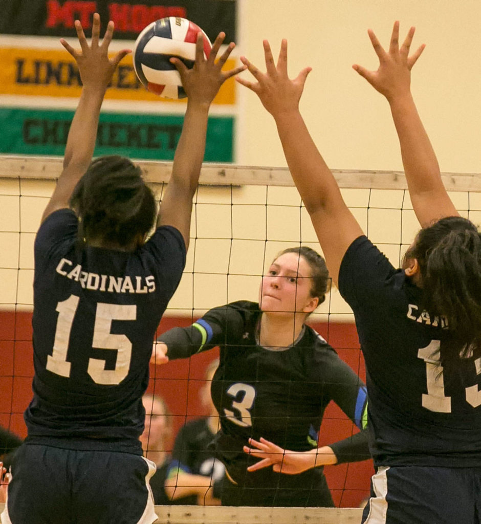 Edmonds Community College’s Michelle Dmitruk hits a ball past the block of Skagit Valley College’s Milya Wright (left) and Paia Togagae (right) on Oct. 31 in Mount Vernon. (Kevin Clark / The Herald)
