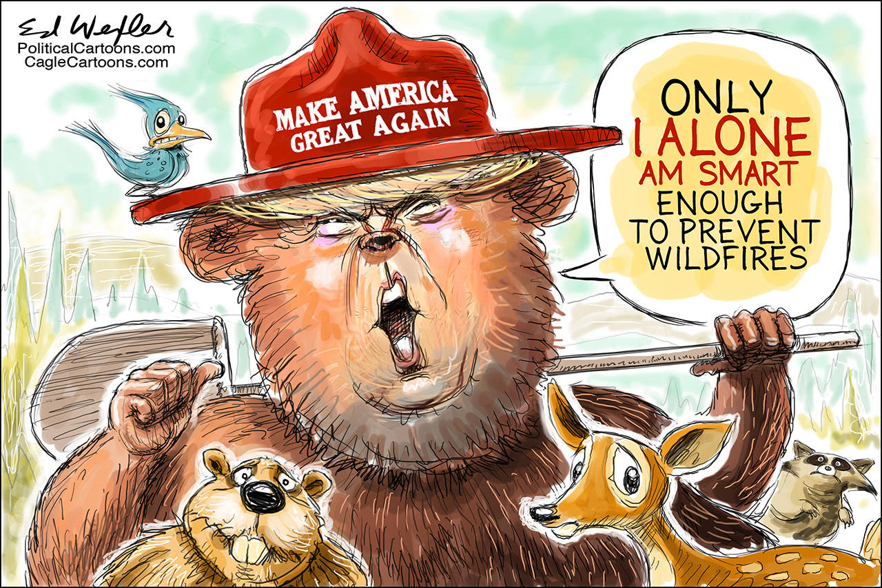 Editorial cartoons for Tuesday, Nov. 13