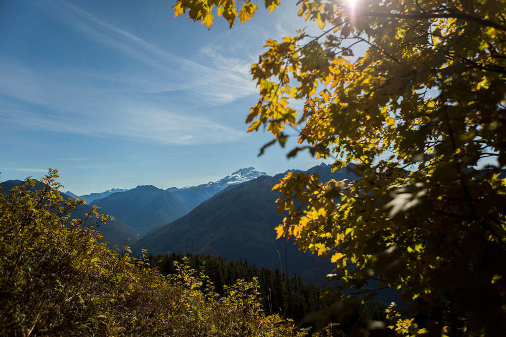 Glacier Peak can be seen on the hike to Green Mountain Lookout. (Olivia Vanni / The Herald)
