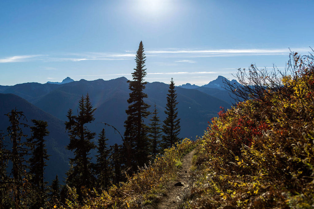A view of the North Cascades from the Green Mountain Lookout trail. (Olivia Vanni / The Herald)
