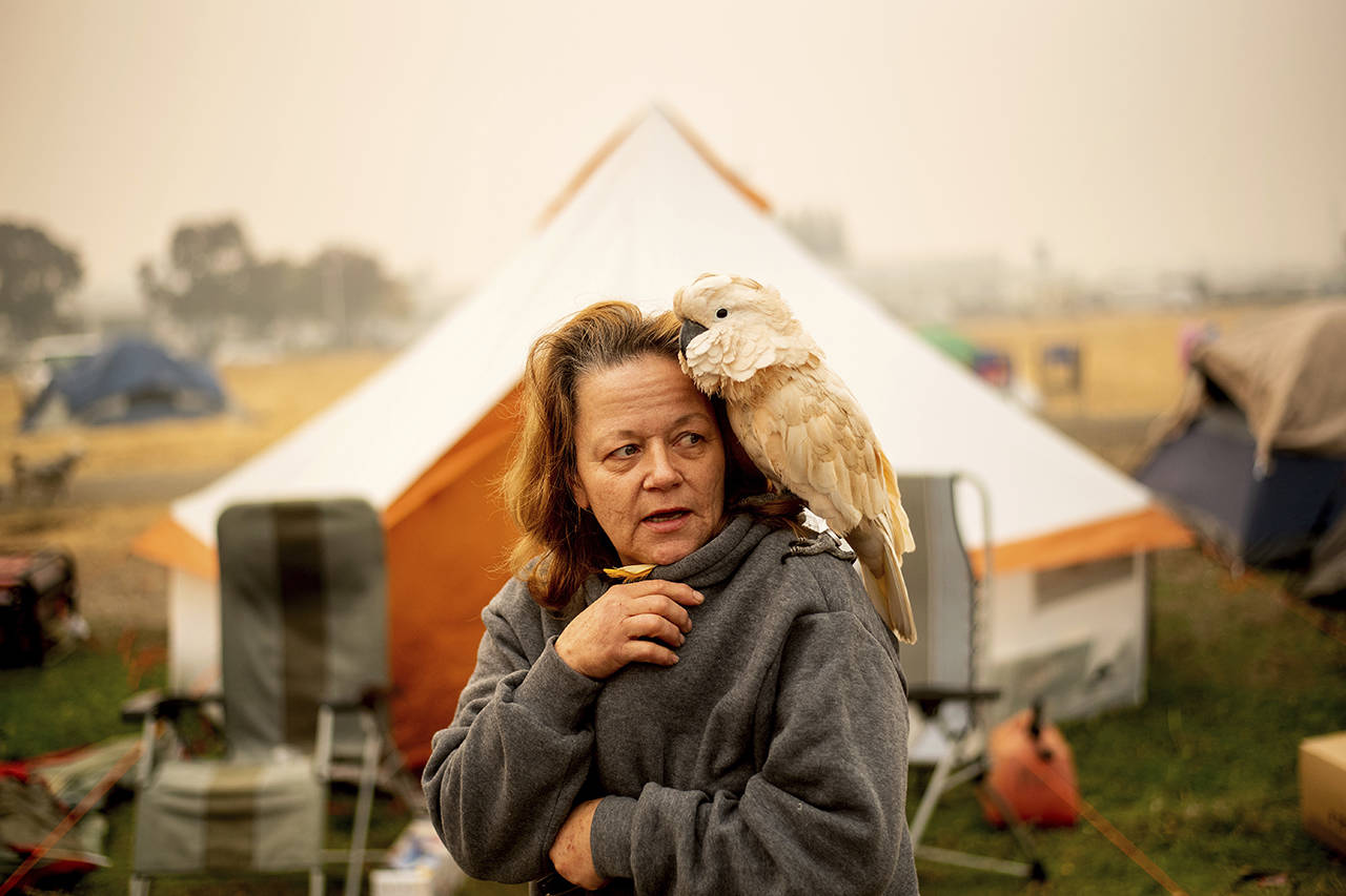 Suzanne Kaksonen, an evacuee of the Camp Fire, and her cockatoo Buddy camp at a makeshift shelter outside a Walmart store in Chico, California, on Wednesday. Kaksonen lost her Paradise home in the blaze. (AP Photo/Noah Berger)