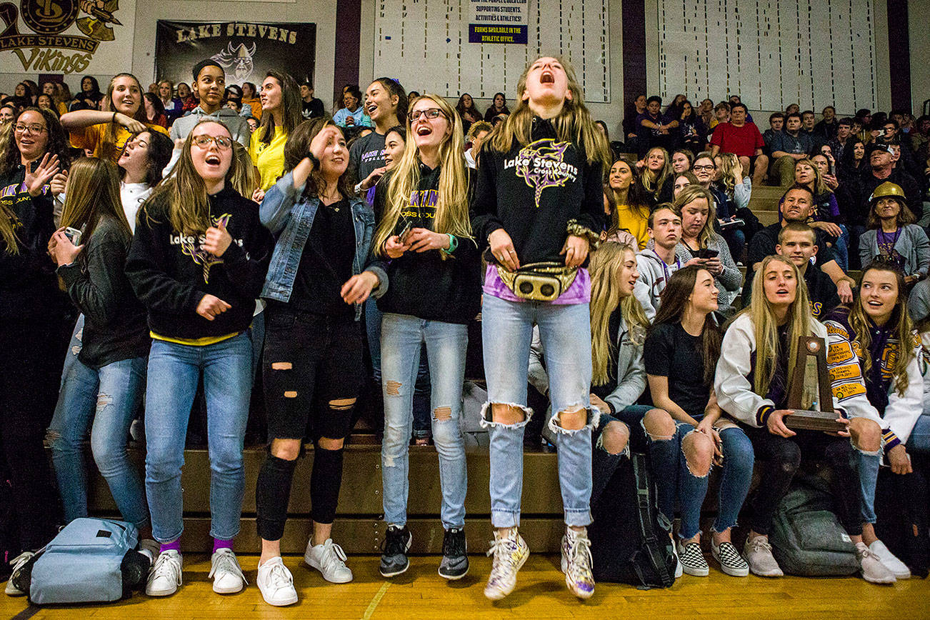 Members of the Lake Stevens Cross Country team and other fall sports teams cheer during the pep rally send-off for the Lake Stevens football team Friday in Lake Stevens. (Olivia Vanni / The Herald)