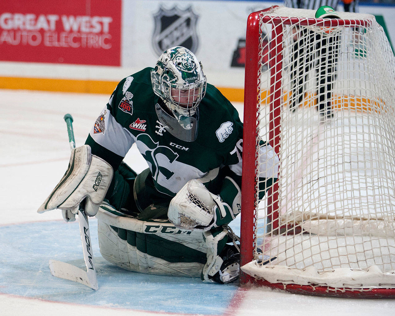 The Goalie Guru: 2015