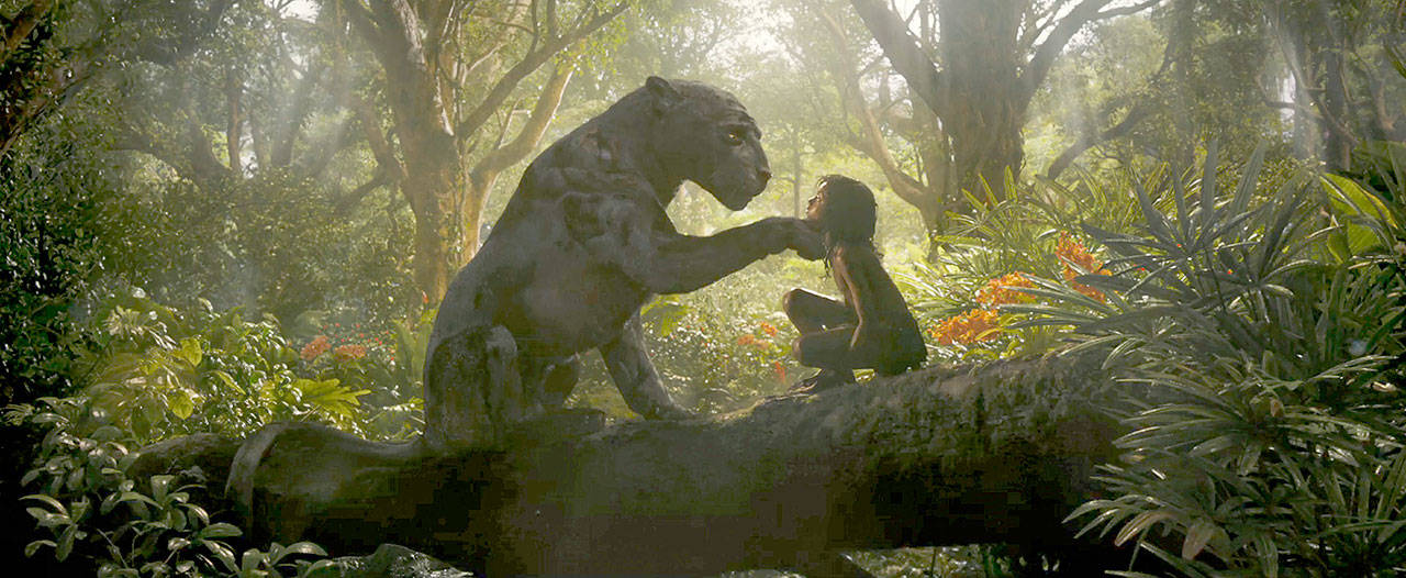 Bagheera, voiced by Christian Bale, and Mowgli, voiced by Rohan Chand. in a scene from “Mowgli: Legend of the Jungle.” (Netflix)