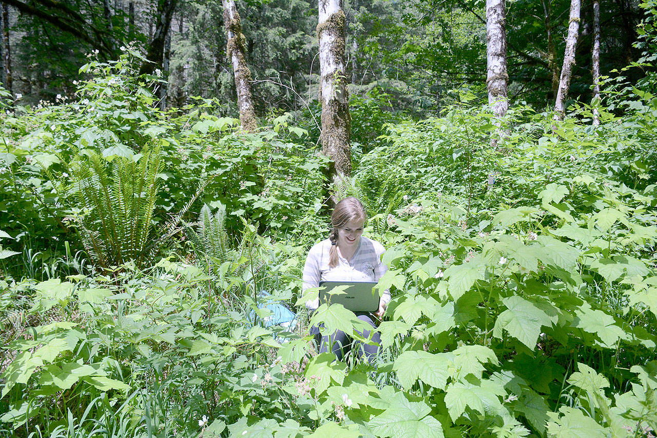 Emmi Lia downloads data from a vehicle counter. The data will help researchers understand when and where people are visiting lands in the Mt. Baker-Snoqualmie National Forest. (Photo by Jessi Loerch)