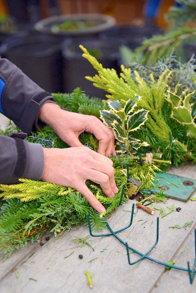 Sunnyside has a variety of evergreen and broadleaf cuttings for wreath-making. (Nicole Phillips)

