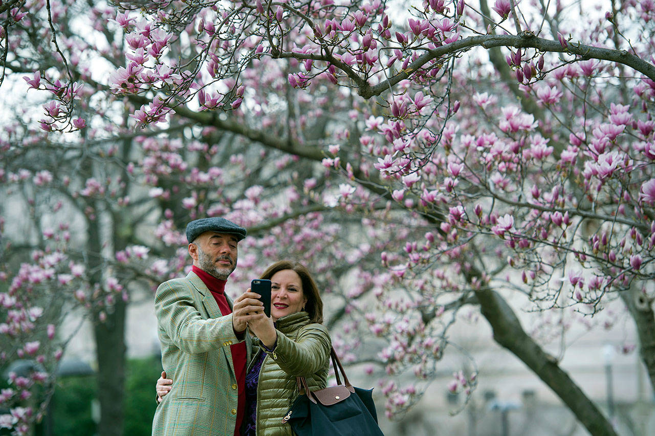 Fidelio Desbradel and his wife, Leonor, of the Dominican Republic, take a selfie in front of a tulip magnolia tree in Washington on Feb. 28, 2017. (AP Photo/Cliff Owen, File)