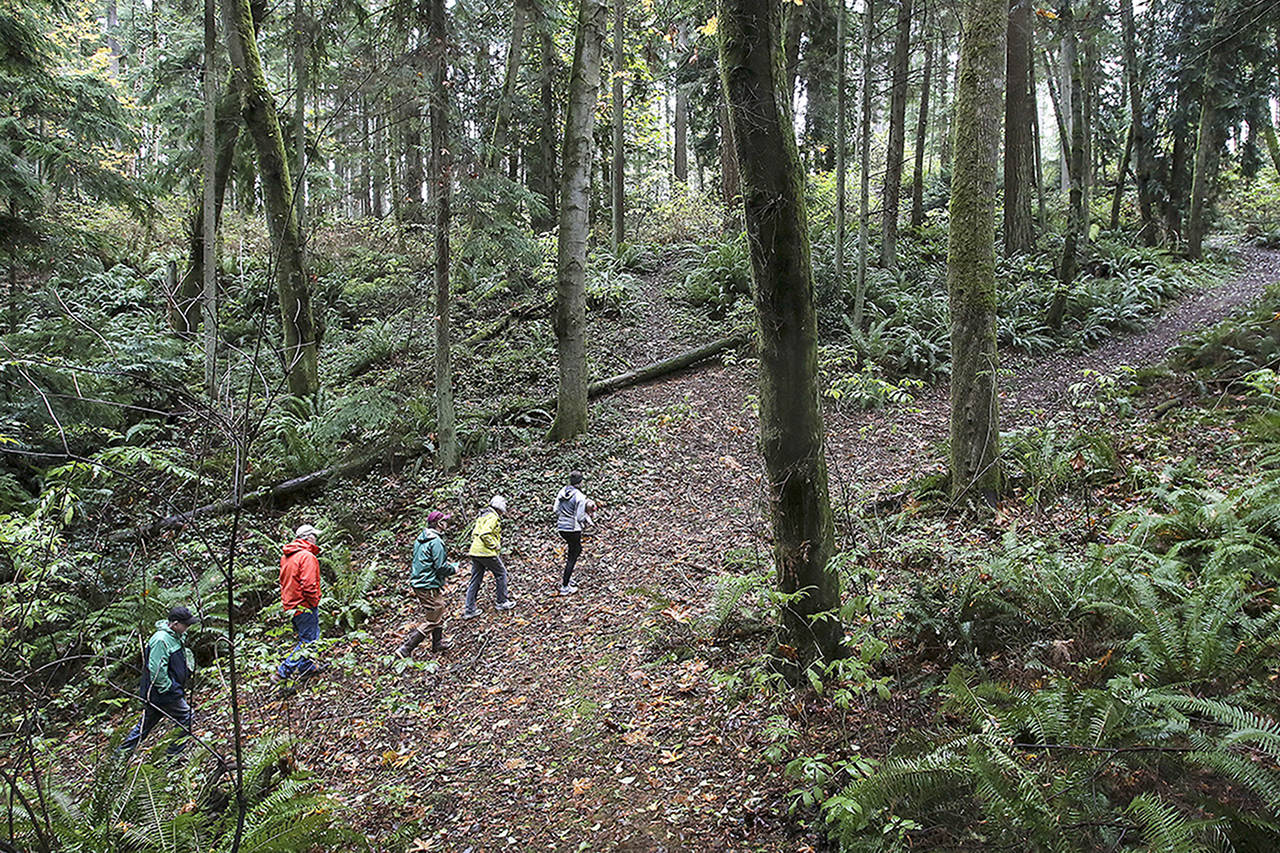This 2015 photo shows (L-R) Joseph Cospito, Gregg Lungren, Todd Zackey, Joan Smith and Emily Mydynski as they make their way out of the ravine near the Frognal Estates housing proposal. (Kevin Clark / Herald file)