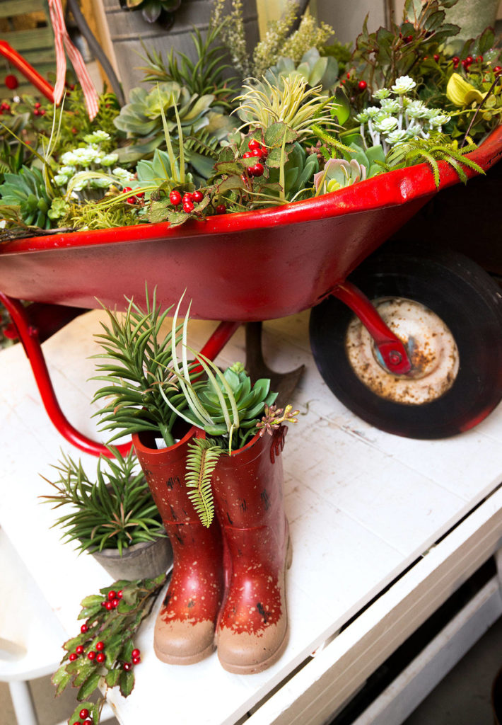 Succulent plants, real or fake, are all the rage in home decor. (Andy Bronson / The Herald)
