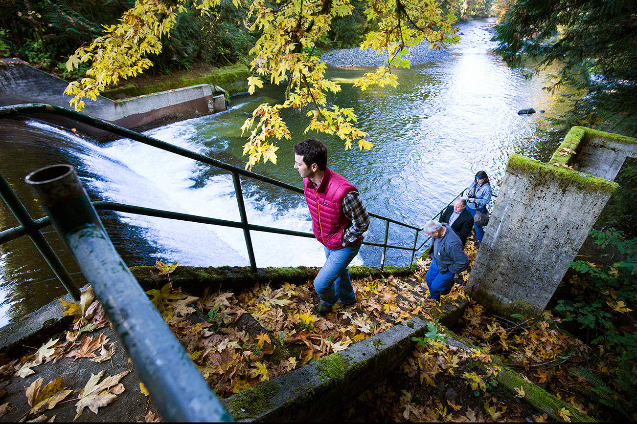 Granite Falls, Meadowdale seeing money flow for salmon work