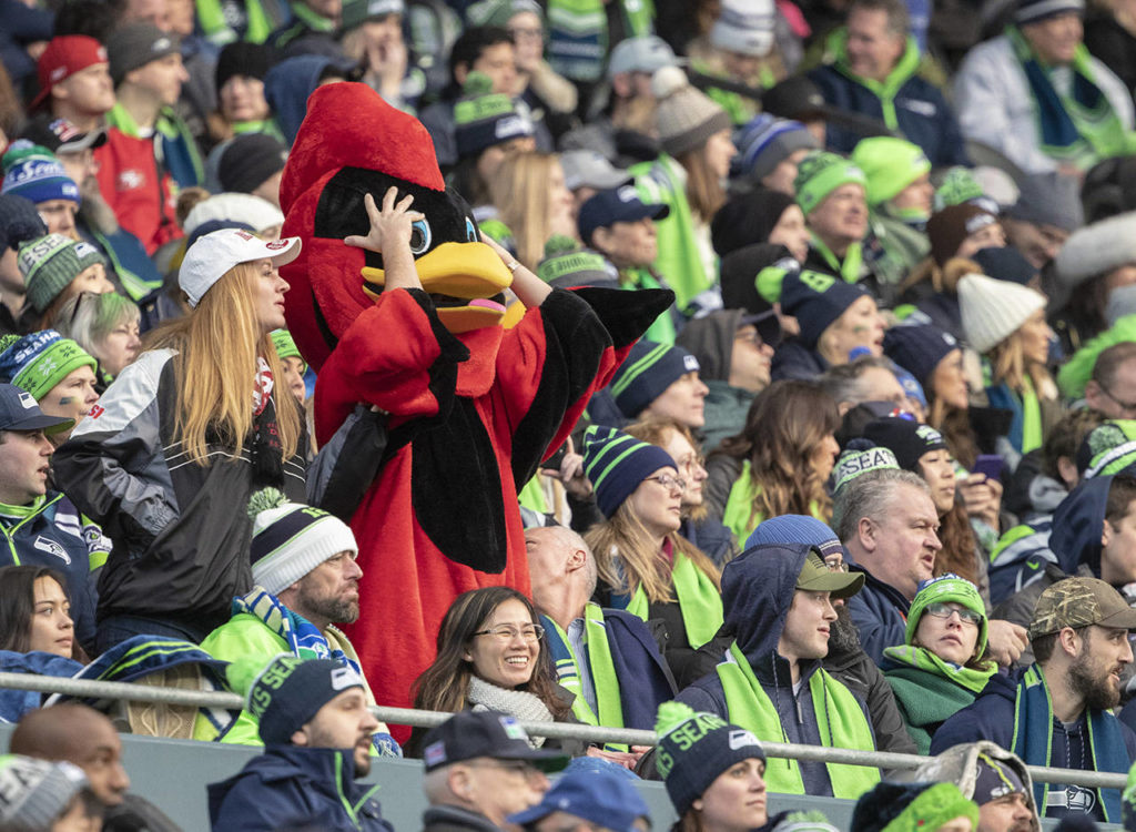 A fan dressed as a cardinal reacts as the Seattle Seahawks take the lead against Arizona during the Seahawks’ 27-24 win Sunday at CenturyLink Field in Seattle. (TJ Mullinax / The Herald)
