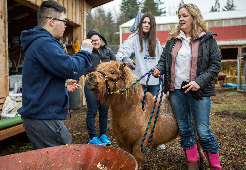 People gather to pet a miniature horse named Cooper on Thursday at Kim Adcock’s farm near Arlington. (Olivia Vanni / The Herald)
