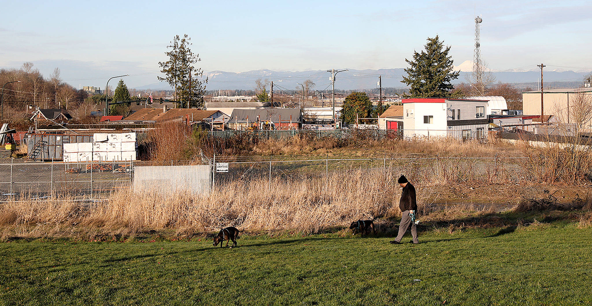 A man walks his dogs through Senator Henry M. Jackson Park on New Year’s Eve. Work is set to begin in late spring on an apartment complex that will bring 203 units of affordable housing to the Delta neighborhood on a site directly north of the park. (Lizz Giordano / The Herald)