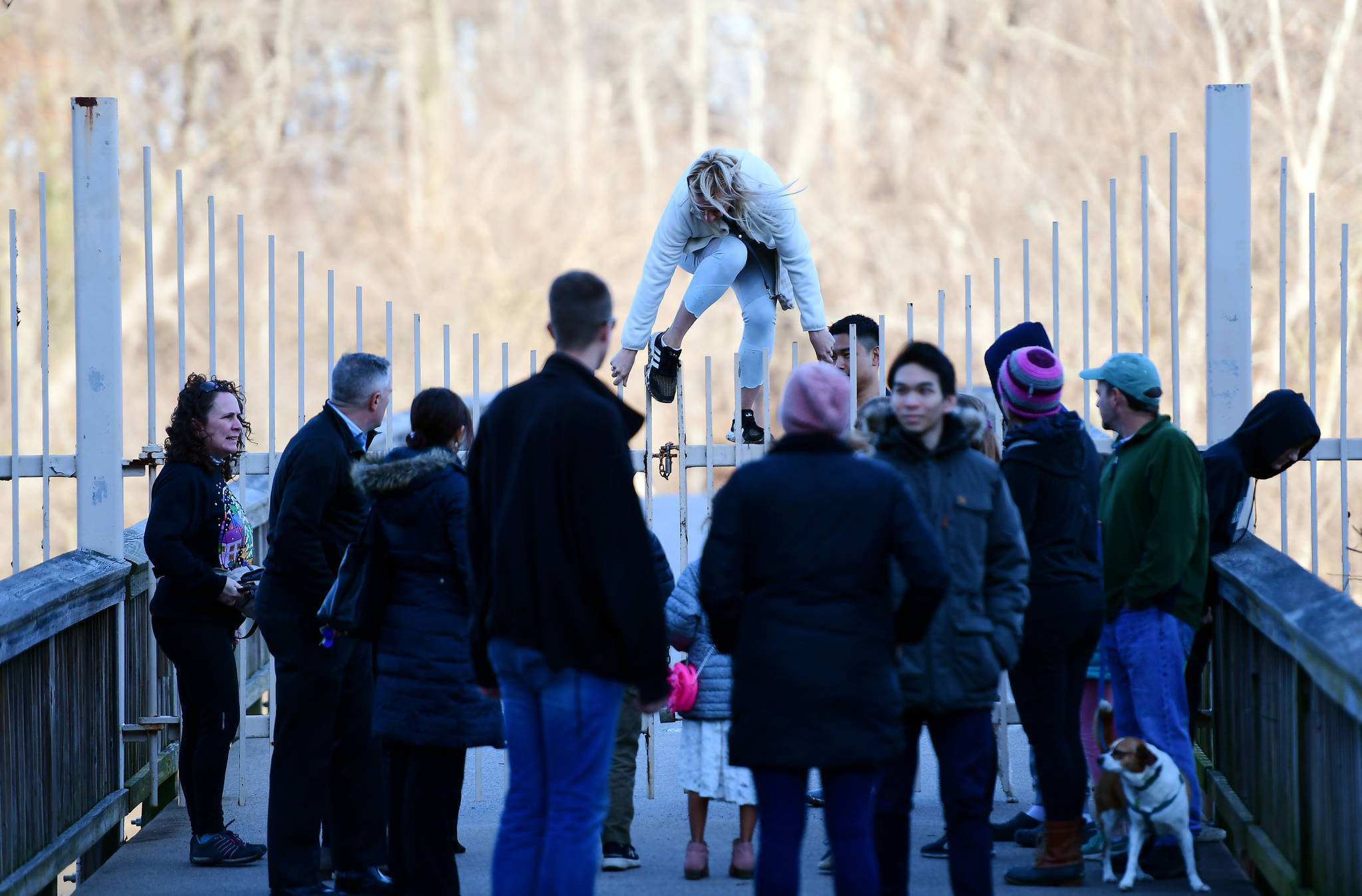 Administration making efforts to mitigate shutdown