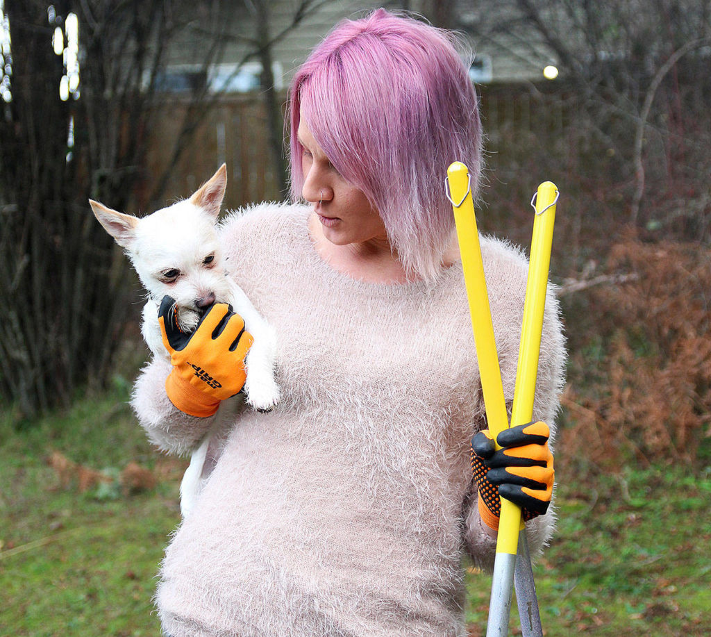 At home, the Pooper Troopers have a 9-month-old Chihuahua Shih Tzu mix named Yeti. (Laura Guido / Whidbey News Group)

