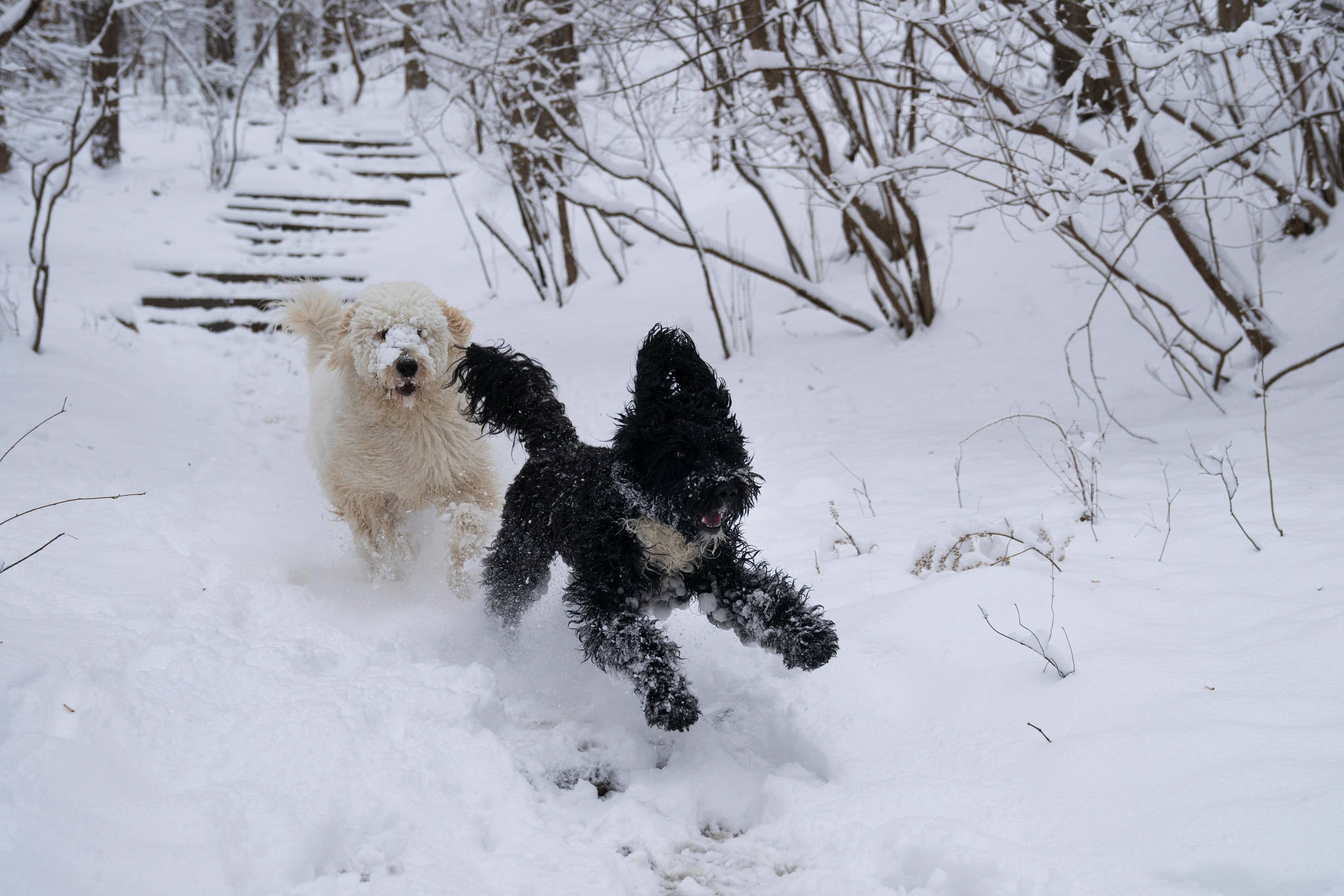 Storm batters swath of U.S. with snow, ice and freezing rain