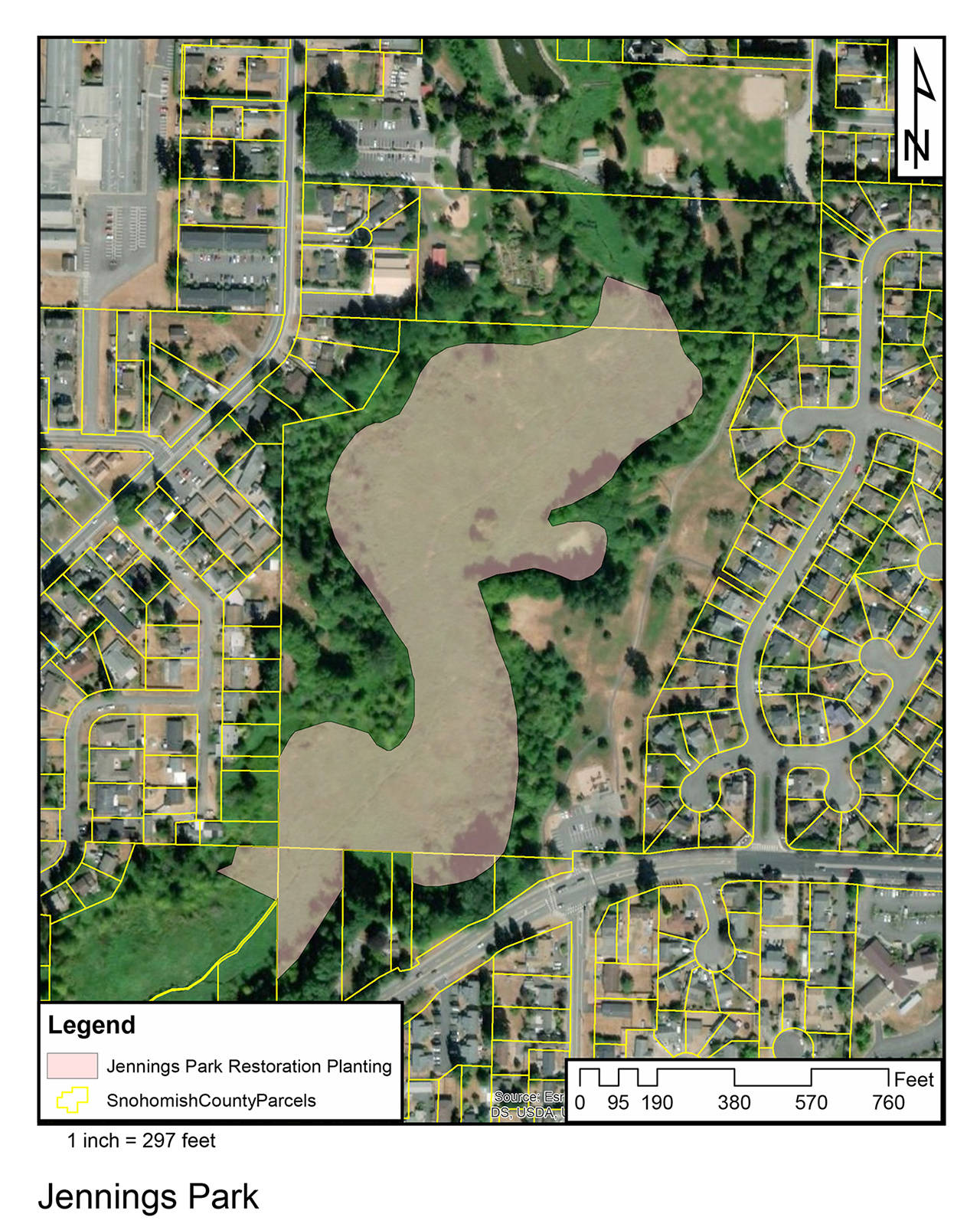 Restoration work is planned at Jennings Park in Marysville. (Snohomish Conservation District)