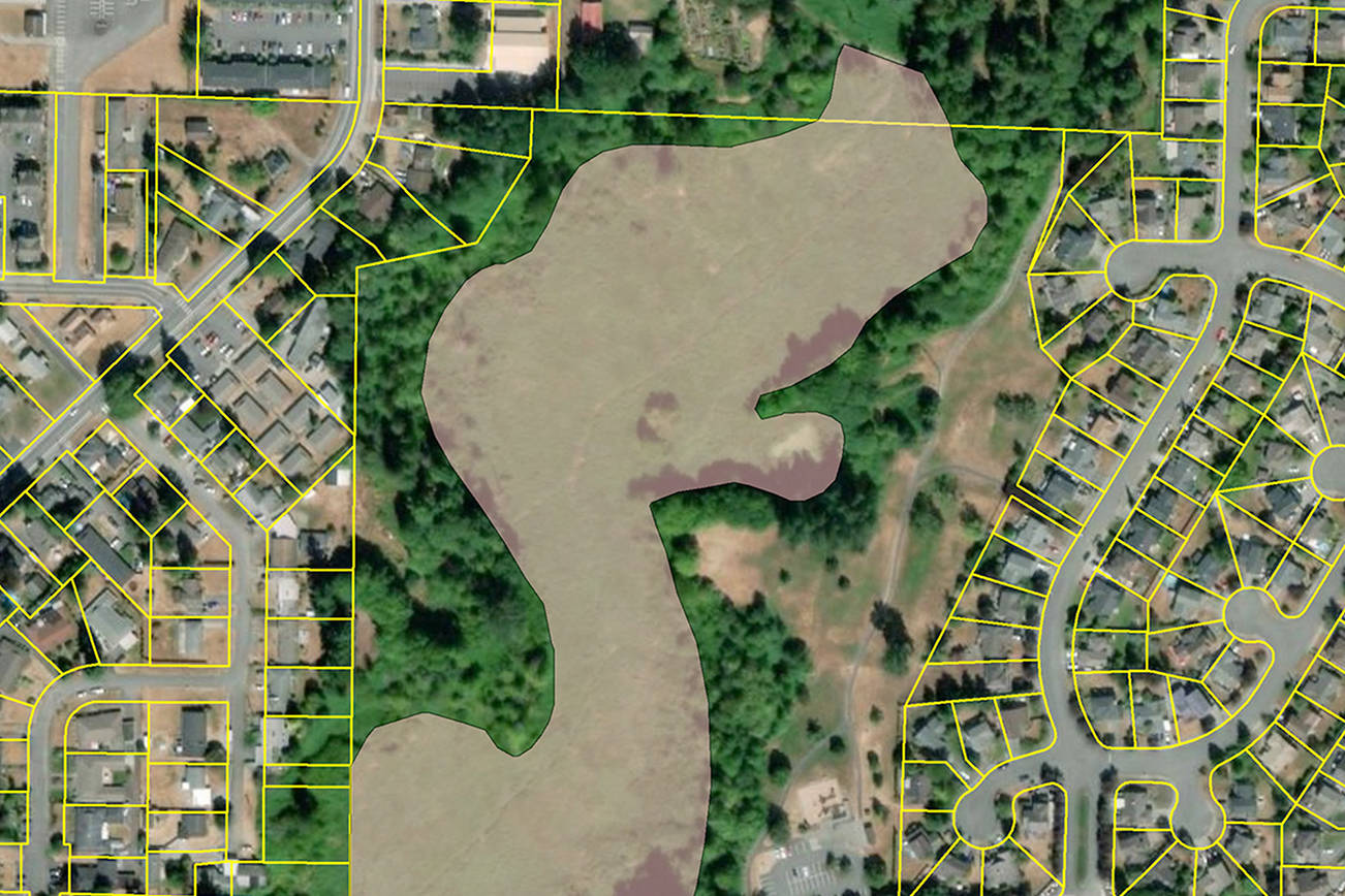 New plants aimed at crowding grass invader, reviving creek