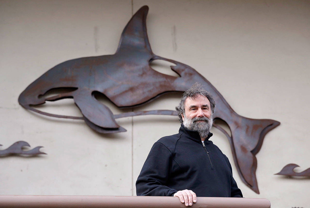 Salmon researcher Greg Ruggerone, one of a group of scientists who noticed a startling trend about the deaths of endangered southern resident orca whales, stands in front of an orca sculpture near his office Friday in Seattle. (AP Photo/Elaine Thompson)