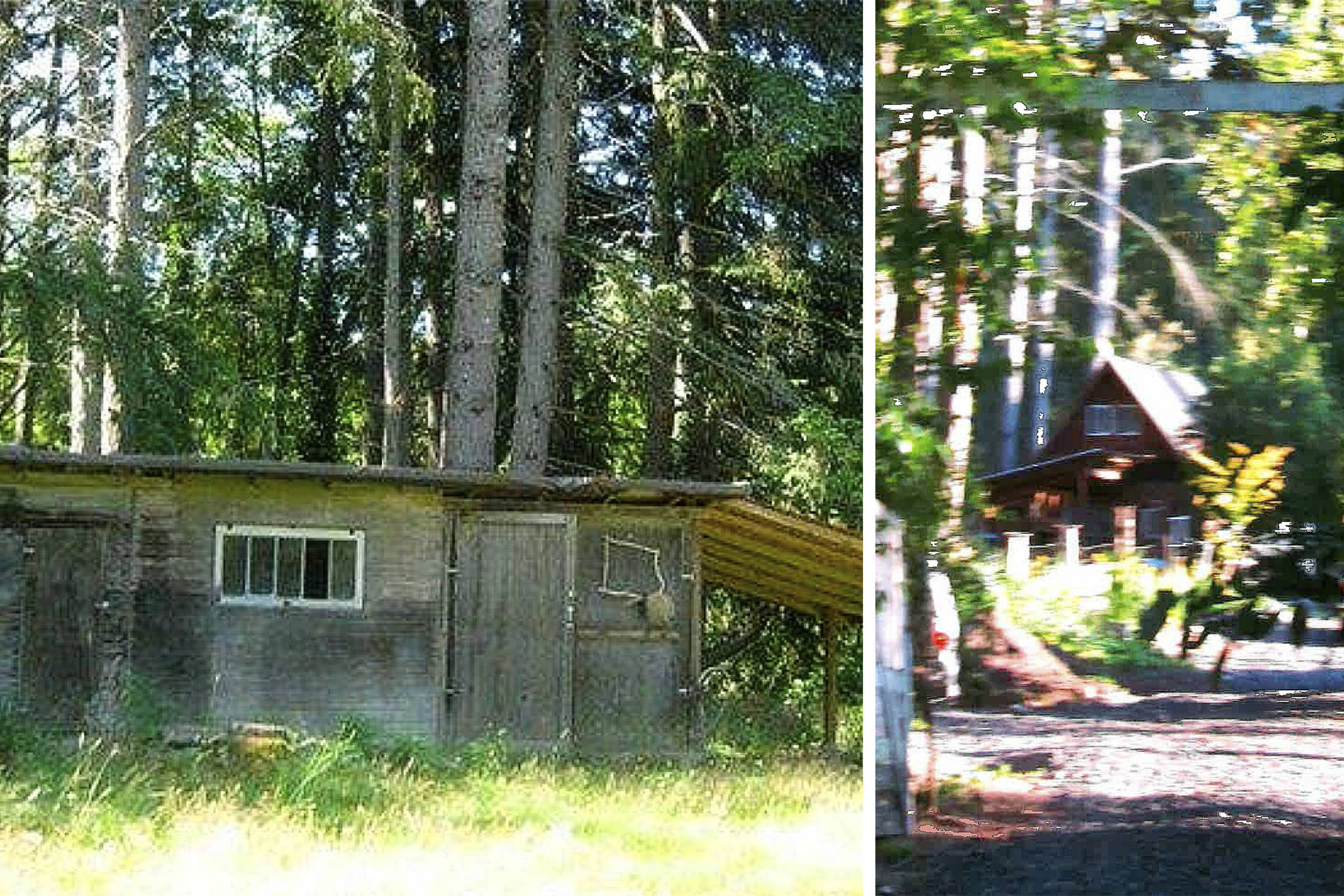 Bainbridge councilor’s unpermitted land use raises concerns