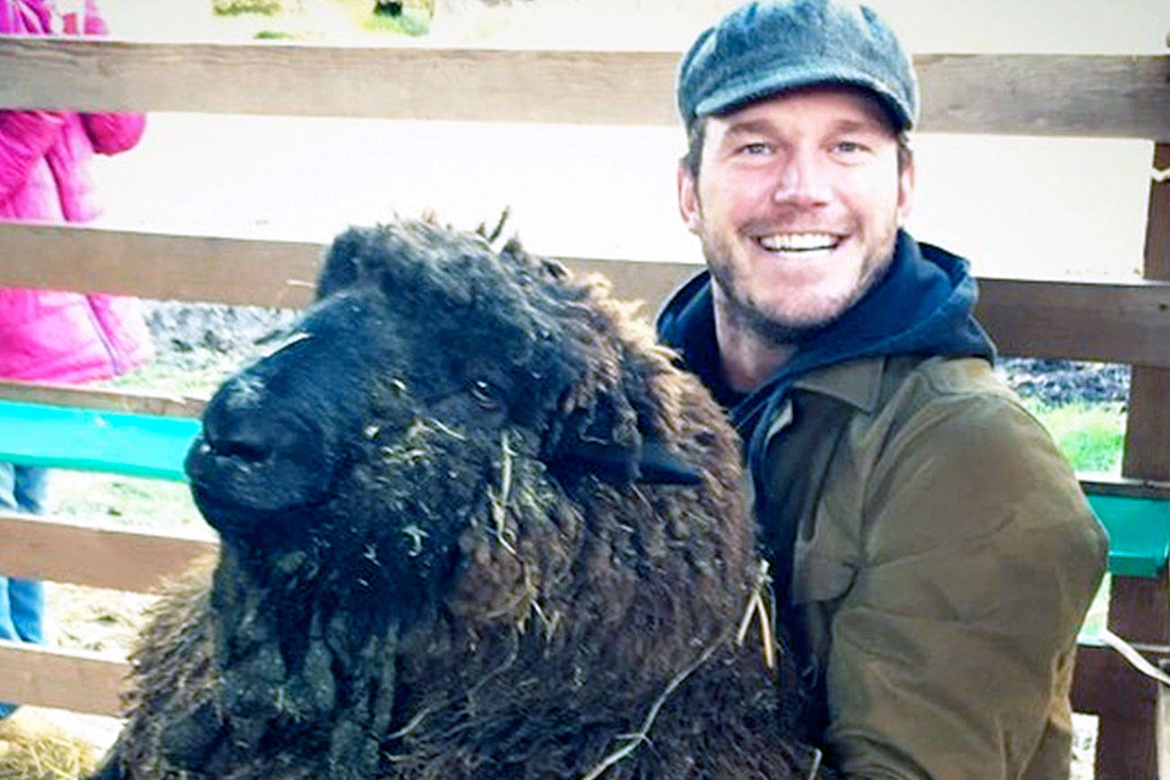 Chris Pratt Won An Award And It Wasn T For Acting Heraldnet Com