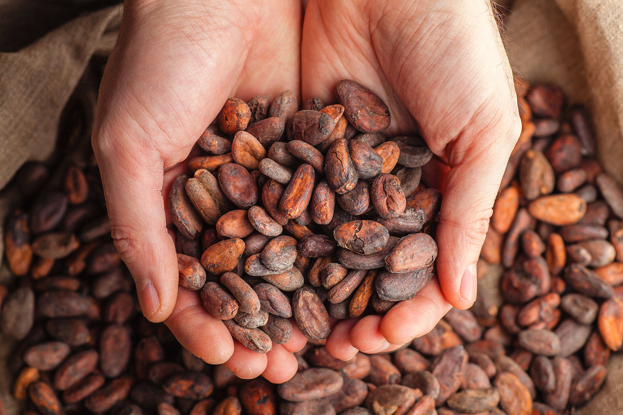 More chocolate makers are attempting to teach us about how chocolate goes from cocoa bean to chocolate bar. (Getty Images)