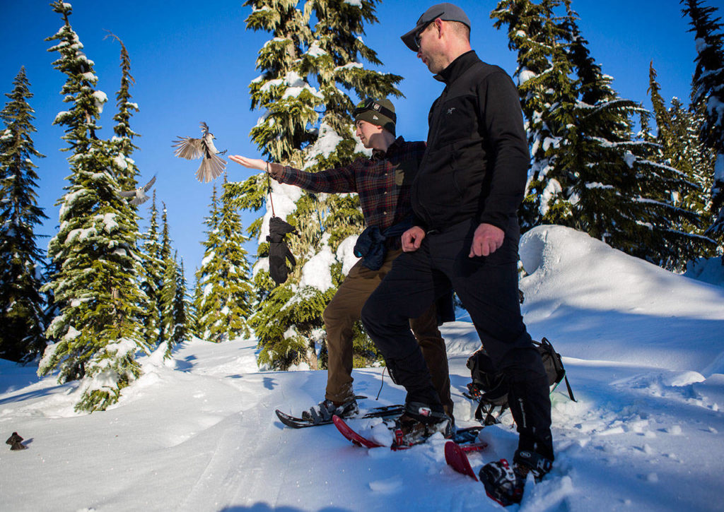 Kyle James, left, holds his hand out for a Canada jay while Don Sarver, right, looks on. (Olivia Vanni / The Herald)
