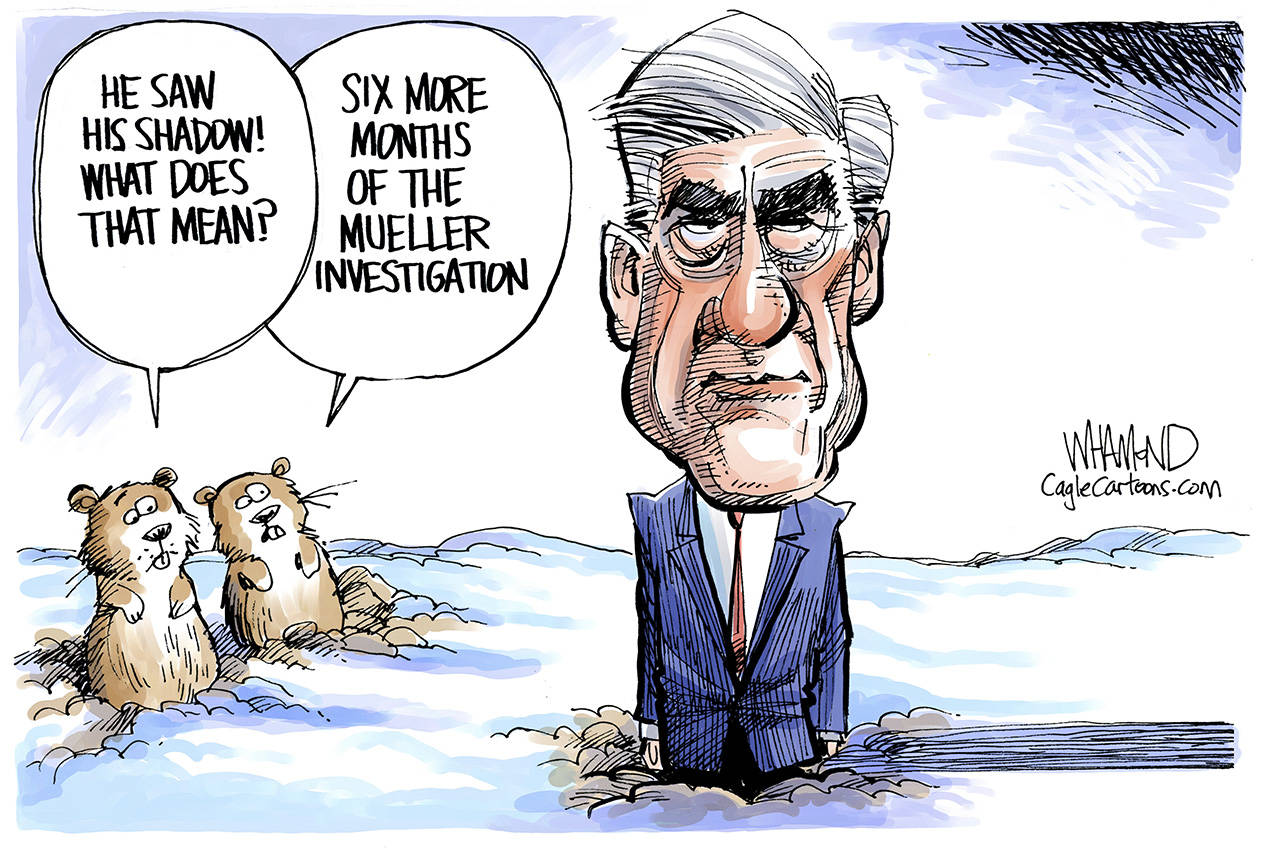 Editorial cartoons for Saturday, Feb. 2, Groundhog Day