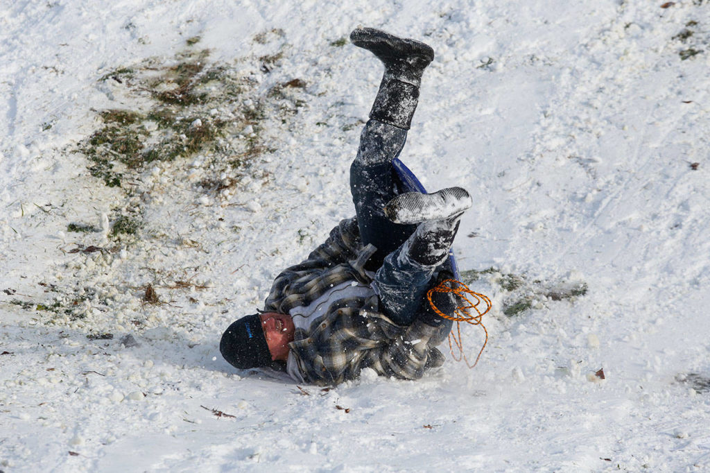 Kevin Swanson, of Arlington, bites the snows while sledding with his daughter Monday, Feb. 4, at Jennings Park in Marysville. (Andy Bronson / The Herald)
