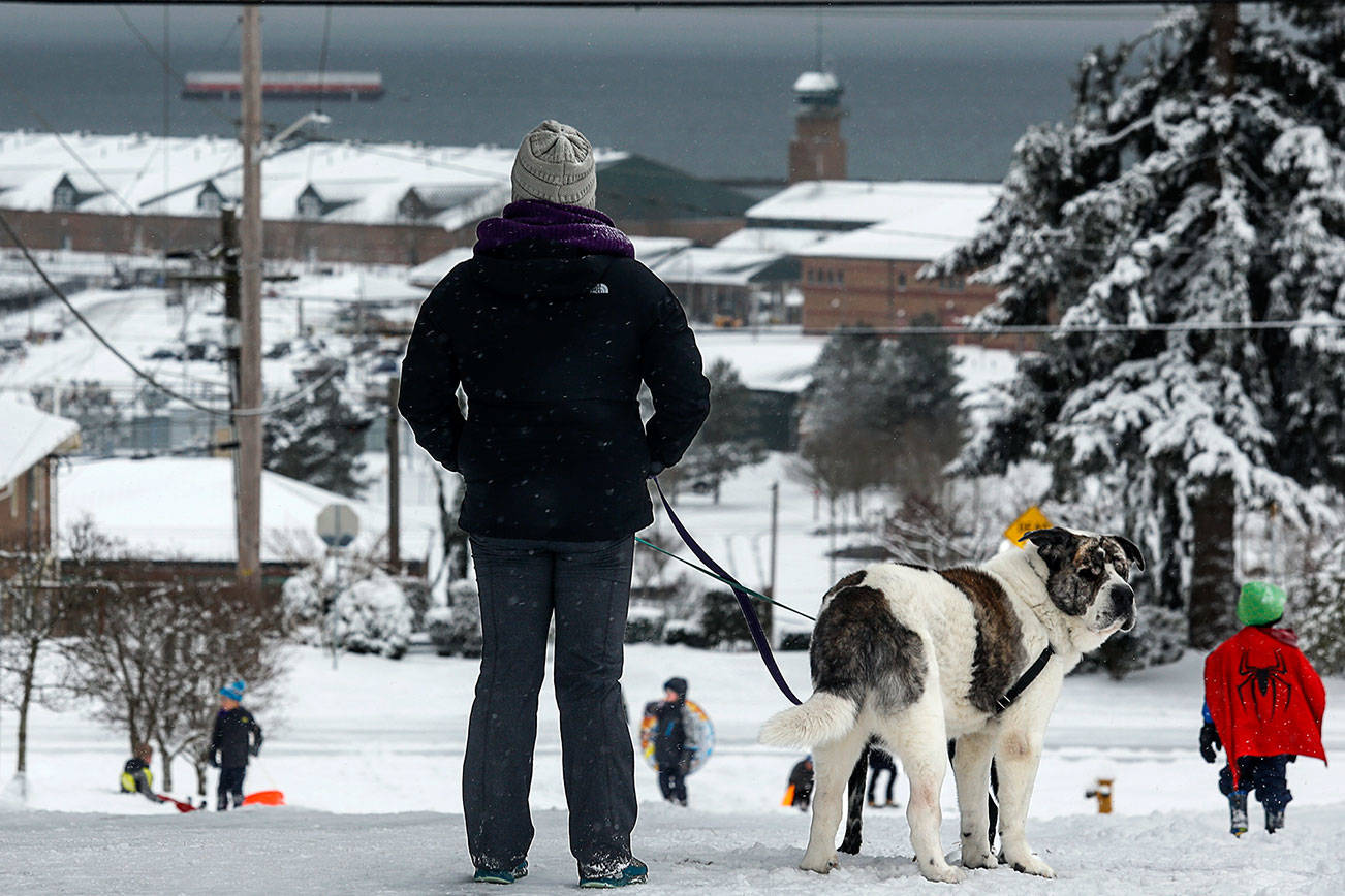 From the top of 21st Street at Rucker Avenue, Everett teacher Monica Darby-Agustin stands with her dogs Binka (back) and Bernie watching her two kids sled and play in the snow with other kids early Monday following a heavy snowfall overnight that left the region blanketed and forced numerous school closures. (Dan Bates / The Herald)