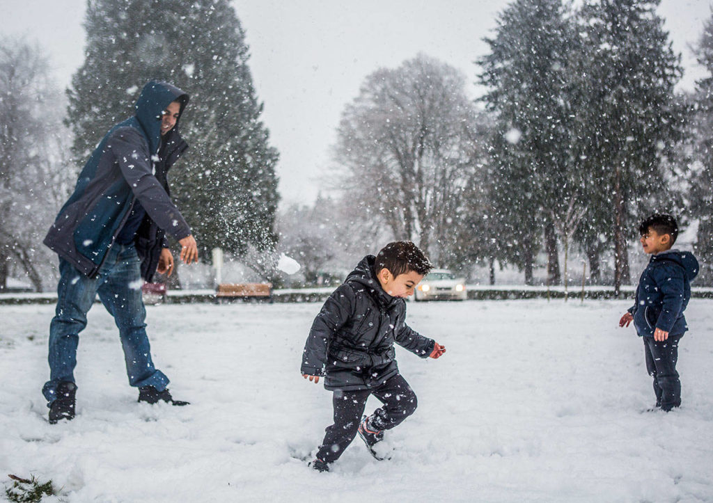 Laith Al Sheblawy, 3 (center), yells as his father, Sadek Al Sheblawy (left), throws a snowball at him at Legion Memorial Park on Friday in Everett. (Olivia Vanni / The Herald)
