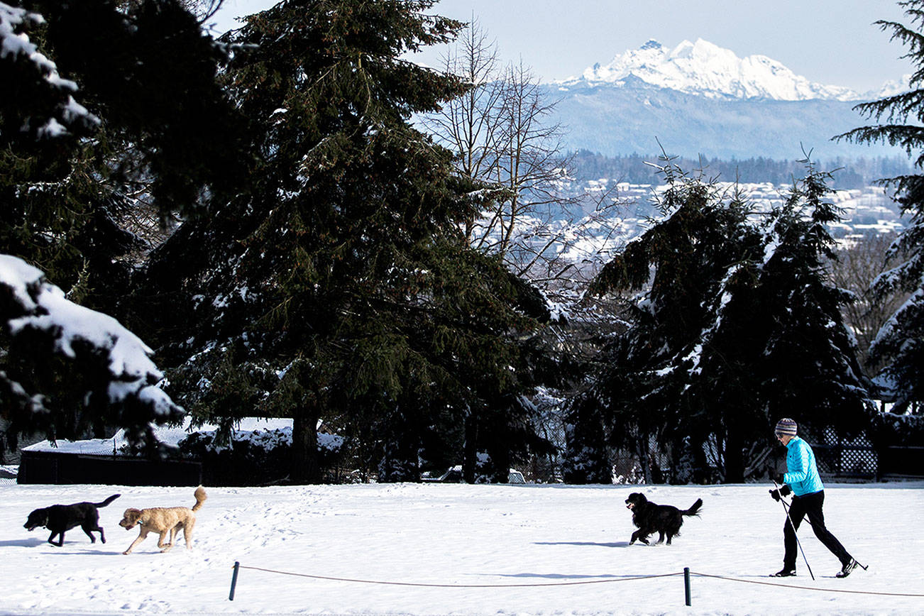 Winter storm bears down on Puget Sound; expect 4-8 inches